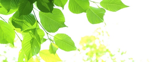 ジニエブラエアー ダイレクトテレショップ販売サイトへ